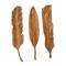 Set of 3 Brown Teak Wood Rustic Wall Decor 7", 27"